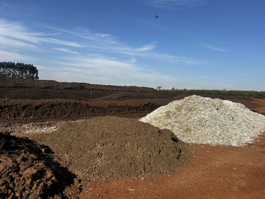 esterco colocado em um pátio de compostagem